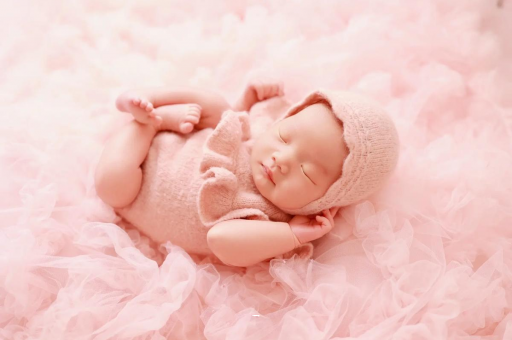 招远8个月宝宝辅食